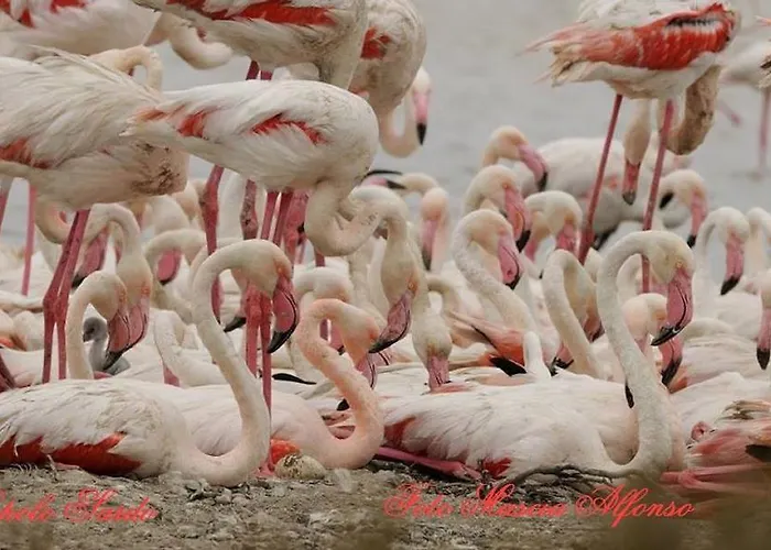 Su Niu Bed & Breakfast