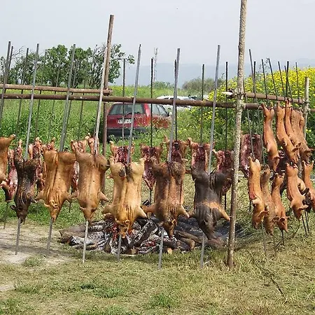 Su Niu Quartucciu