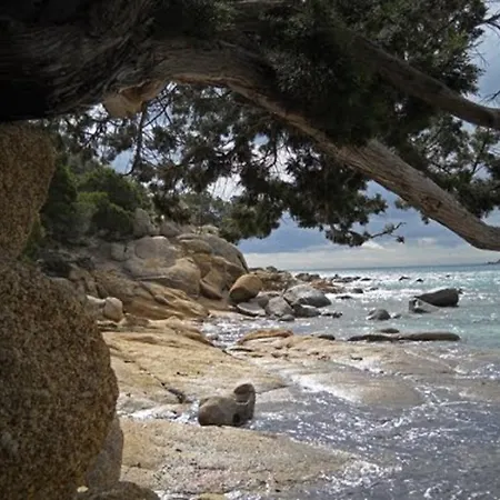 Bed & Breakfast Su Niu