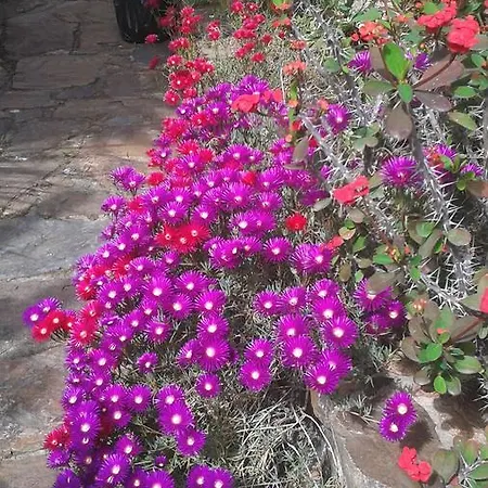 Bed & Breakfast Su Niu 3*